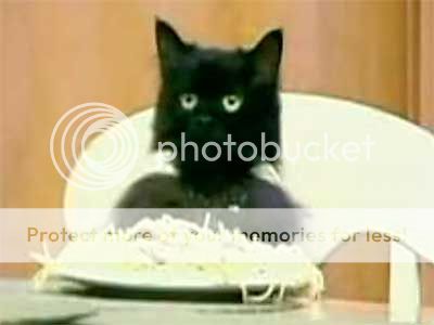 spaghetti_cat_400_zps76a78453.jpg