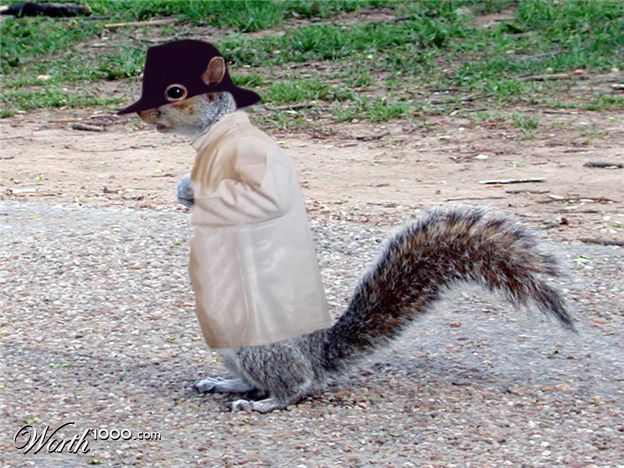 Secret-Squirrel.jpg