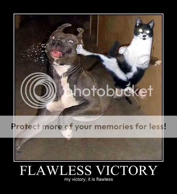 flawless-victory-my-victory-it-is-f.jpg