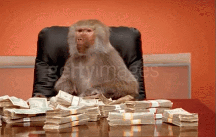 baboon-money.gif