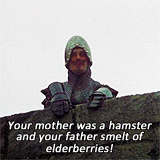 Your father smelt of elderberries!! | Monty python, Humor, Make me laugh
